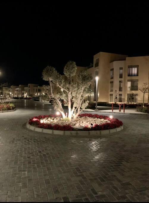 Mangroovy - 1br Shiny Ground Floor Apartment Hurghada